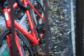 A red bicycle with prominent branding on the frame is pictured outdoors. It is positioned on a path covered with leaves and surrounding is a metal fence. The focus is on the rear of the bicycle, showing a partially muddy tire.