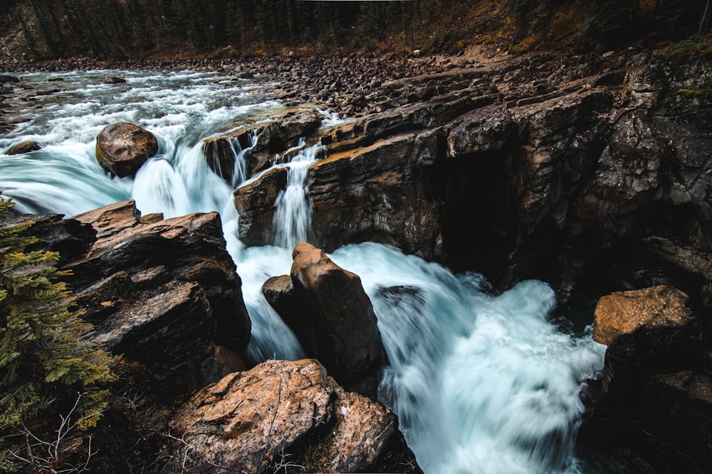 a river flowing through a forest filled with rocks