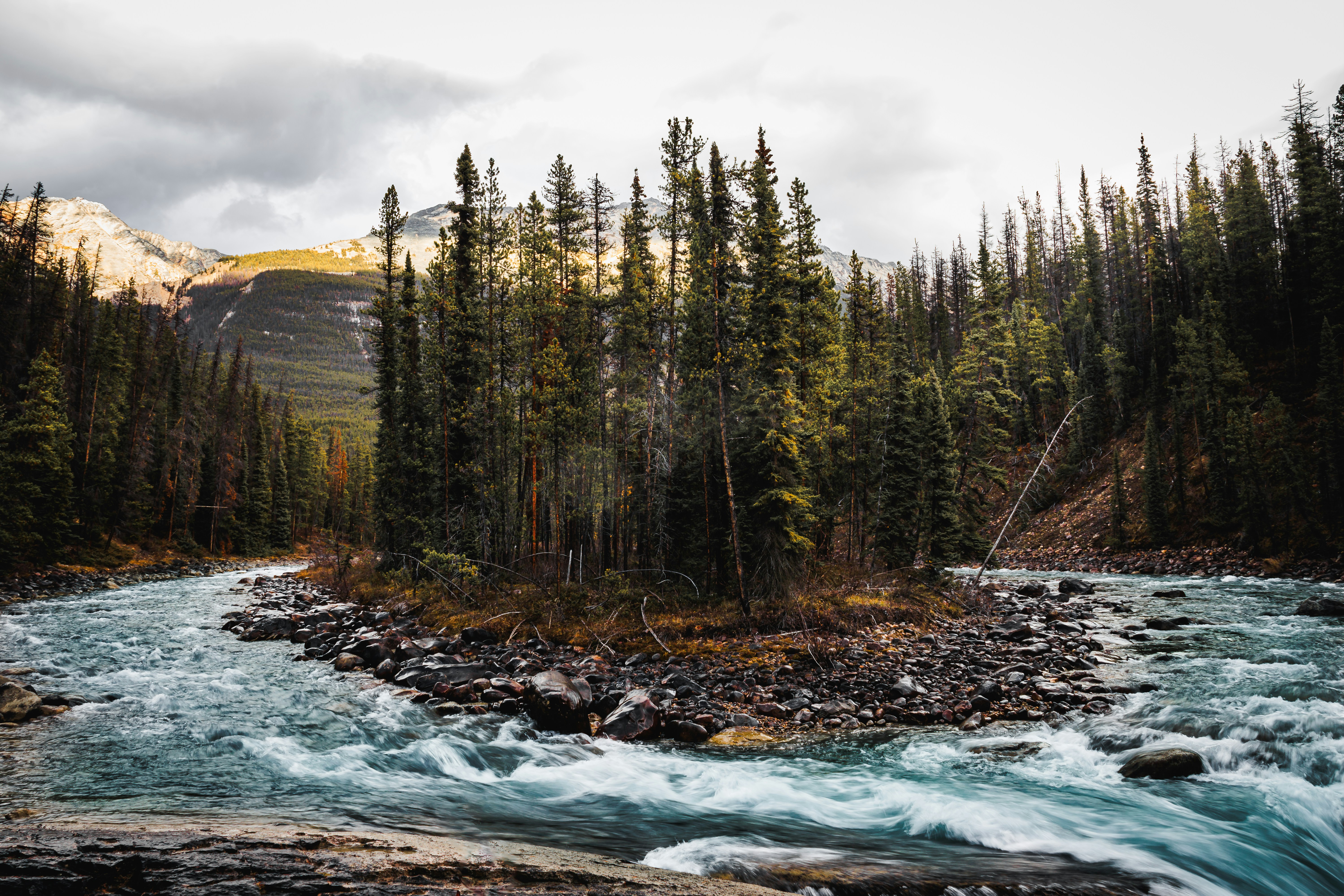 Photo by brice_cooper18