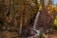 A natural setting with a tall waterfall cascading down a rocky cliff, surrounded by dense forest. Pine trees and other vegetation frame the scene, with sunlight filtering through, highlighting the textures of rocks and branches.