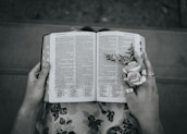 Close-up of hands holding a delicate flower and a well-worn Bible.