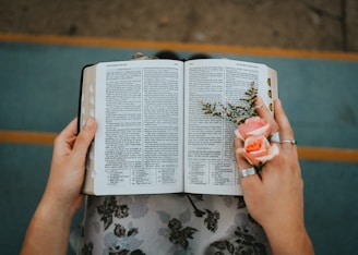 A close-up of hands holding a Bible with a delicate flower resting on the pages.