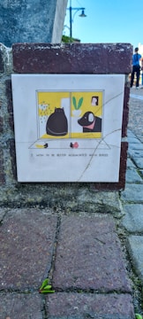 A small tile is embedded in a brick wall, featuring a simple cartoon image. The cartoon shows a black cat and a black dog looking out of adjacent windows. On the windowsill are two small birds and a potted plant. Below the illustration is a caption: 'I wish to be better acquainted with birds.' The setting includes cobblestone pavement and the lower portion of a street lamp in the background.