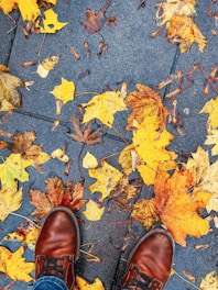 A pair of brown leather shoes on a wet sidewalk surrounded by fallen autumn leaves in various shades of yellow, orange, and brown.