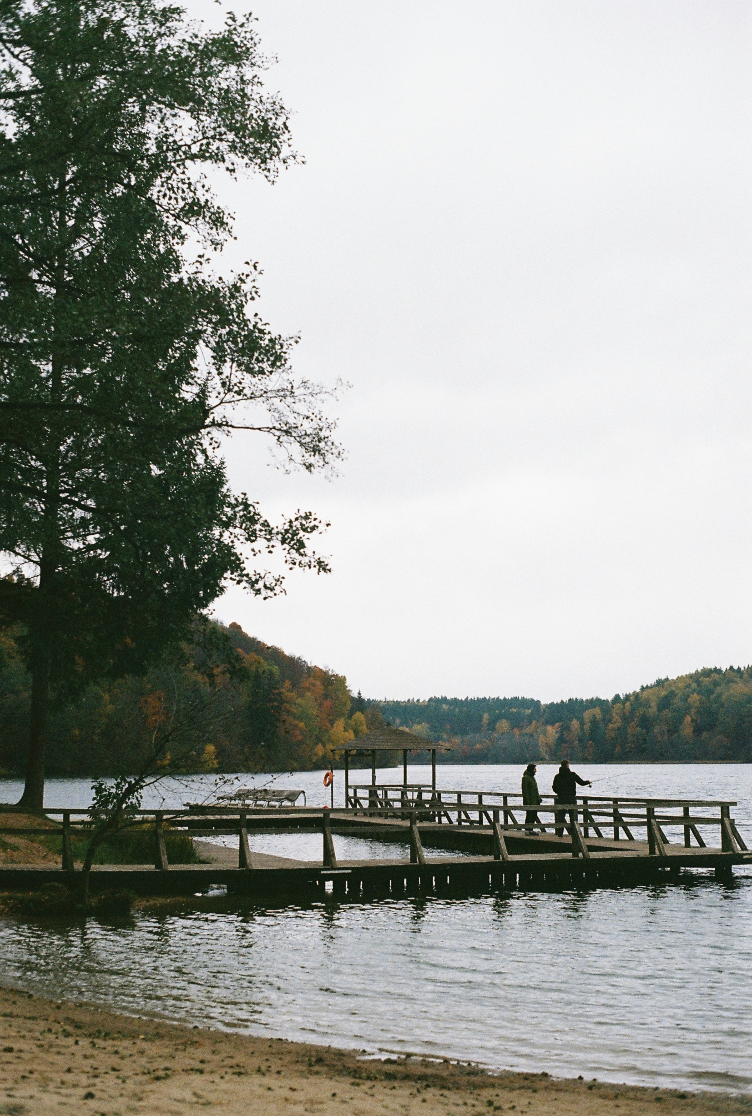 Photo by nadzeya1104