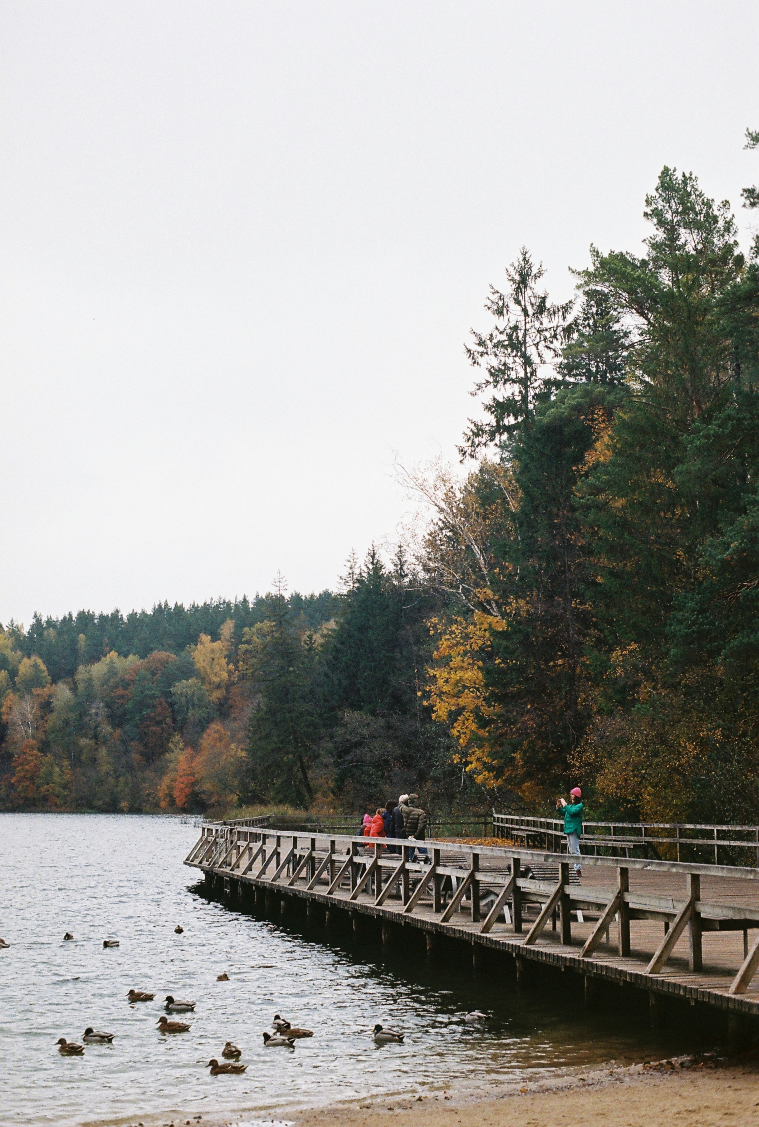 Photo by nadzeya1104