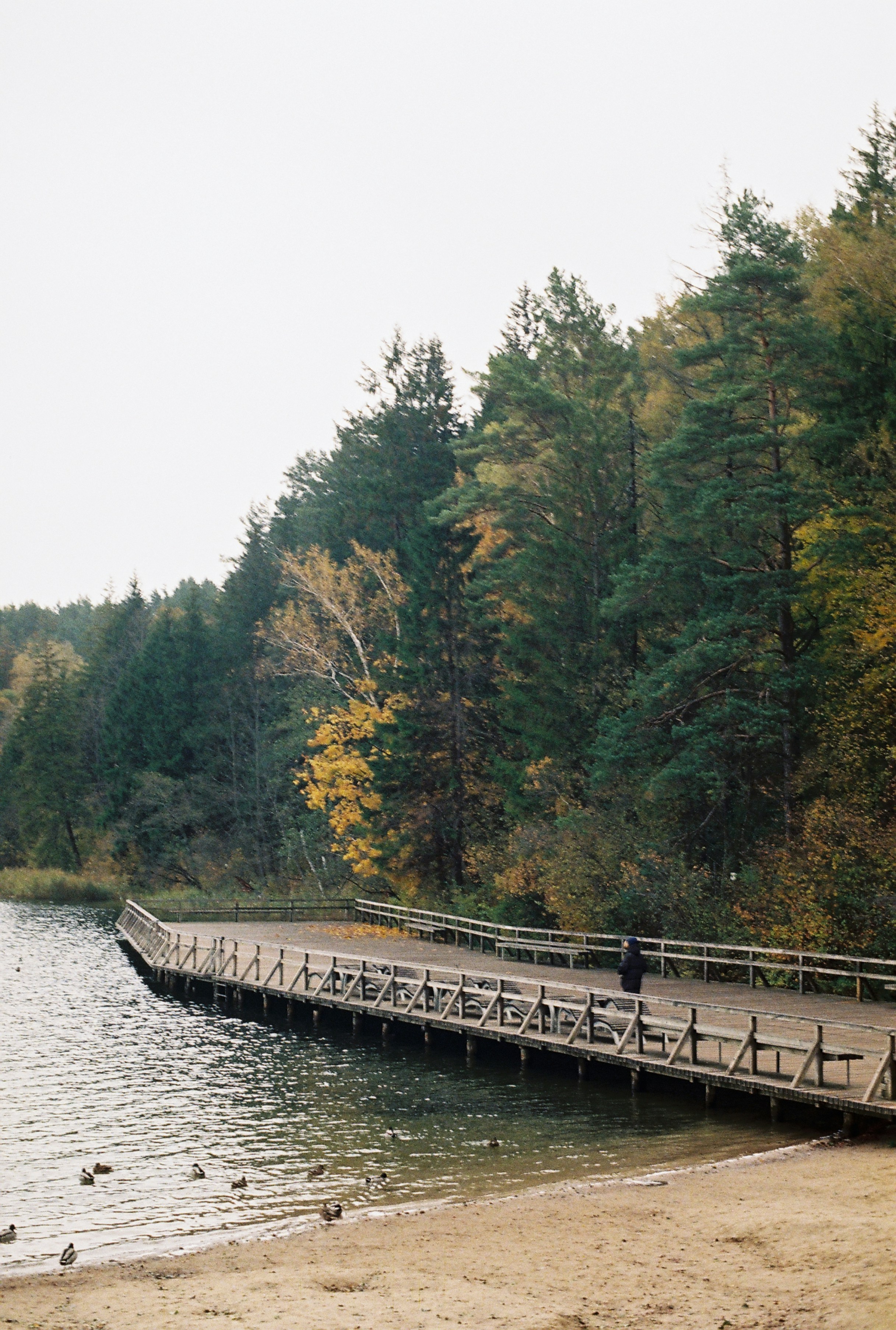 Photo by nadzeya1104