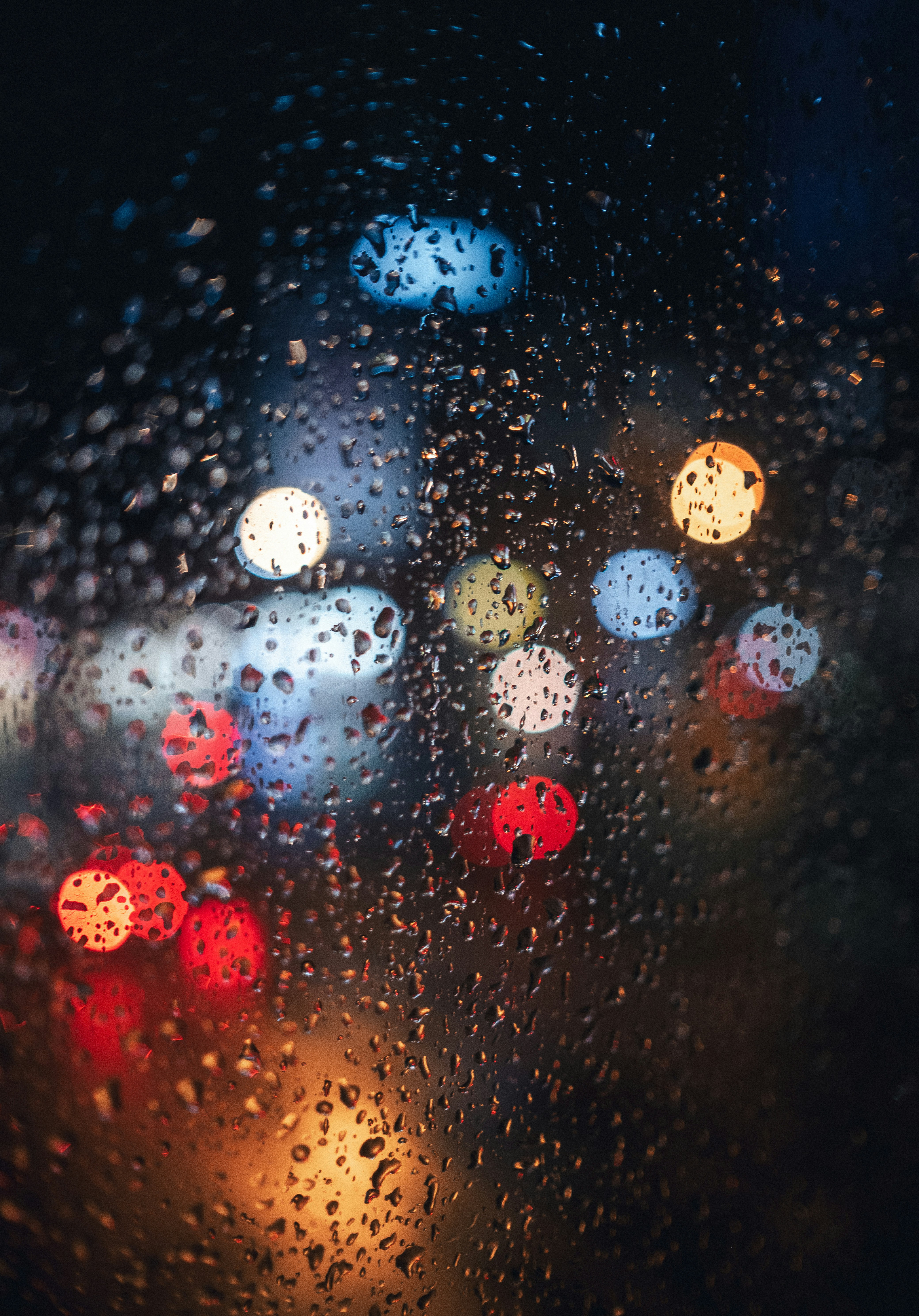 Photo by damian_ochrymowicz