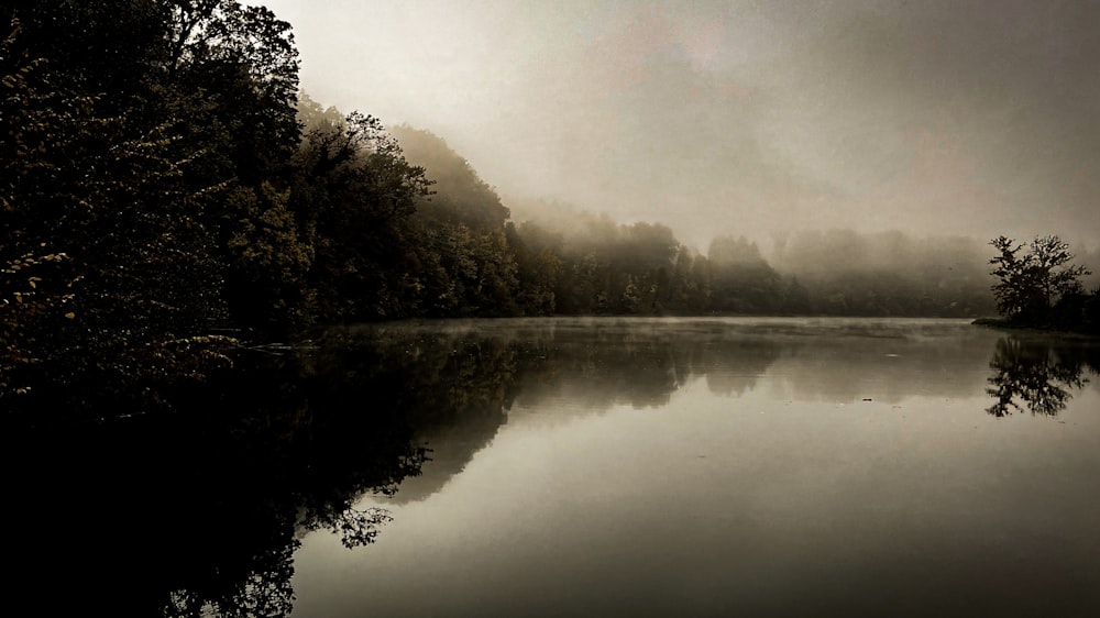 a body of water surrounded by trees and fog