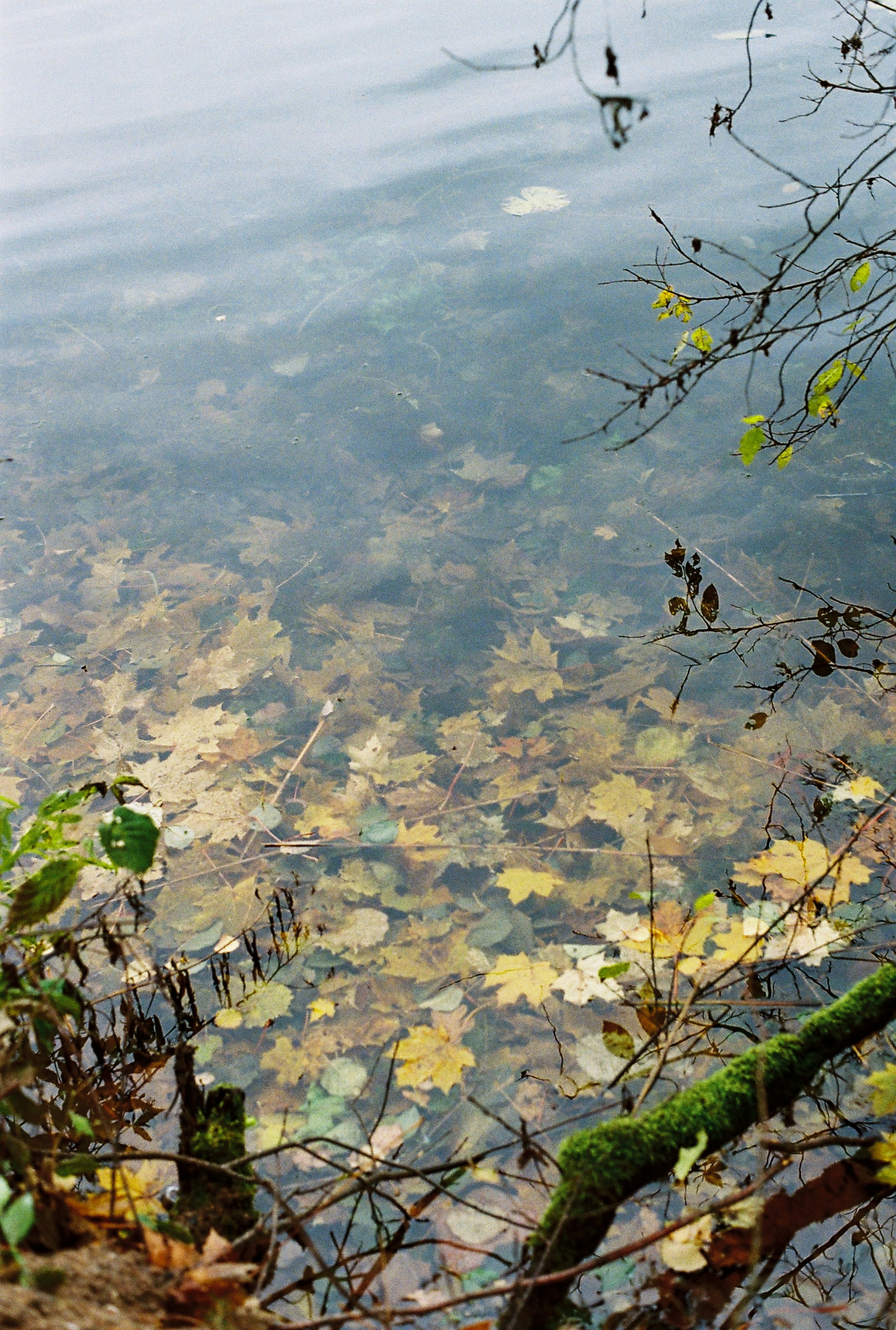 Photo by nadzeya1104