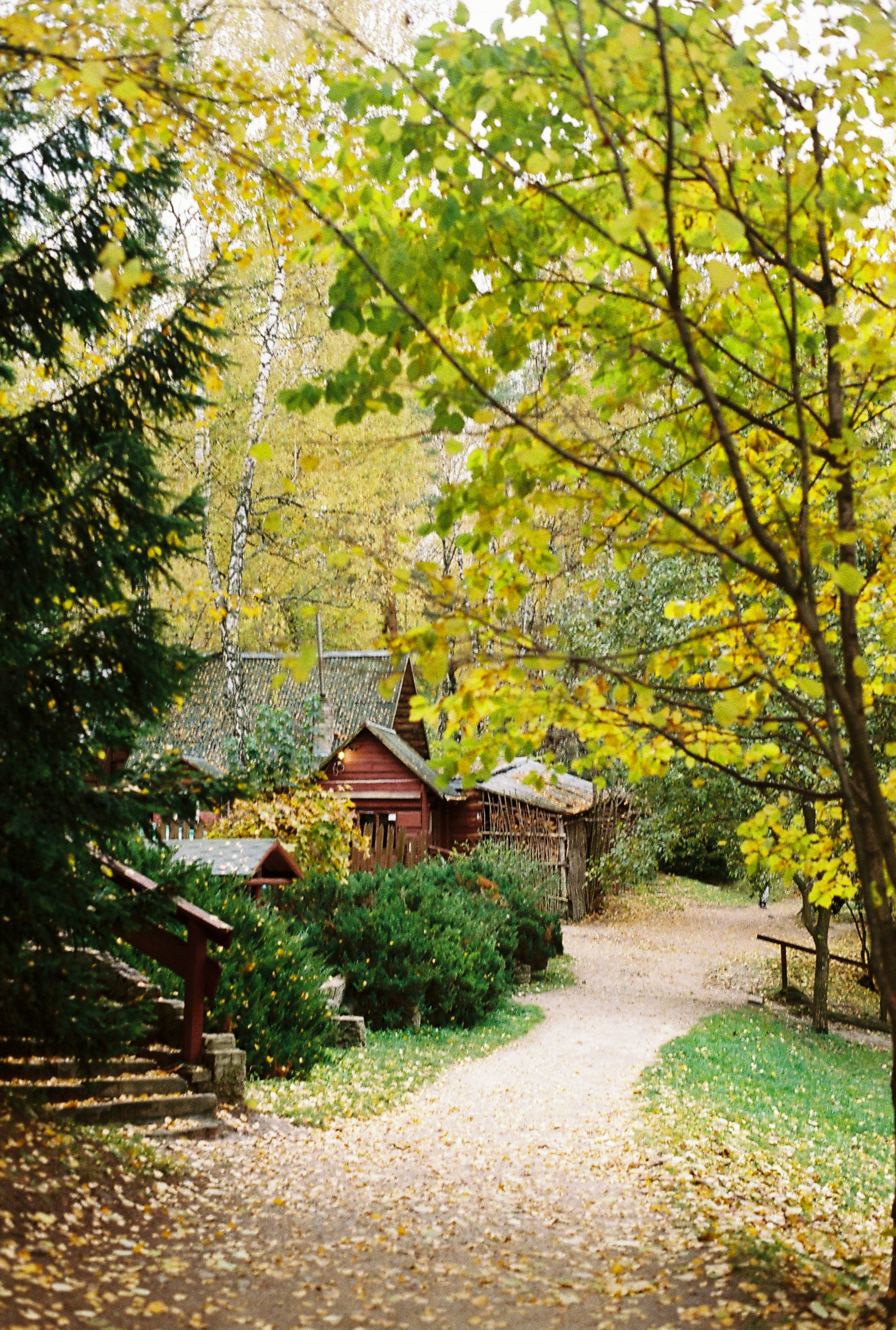 Photo by nadzeya1104