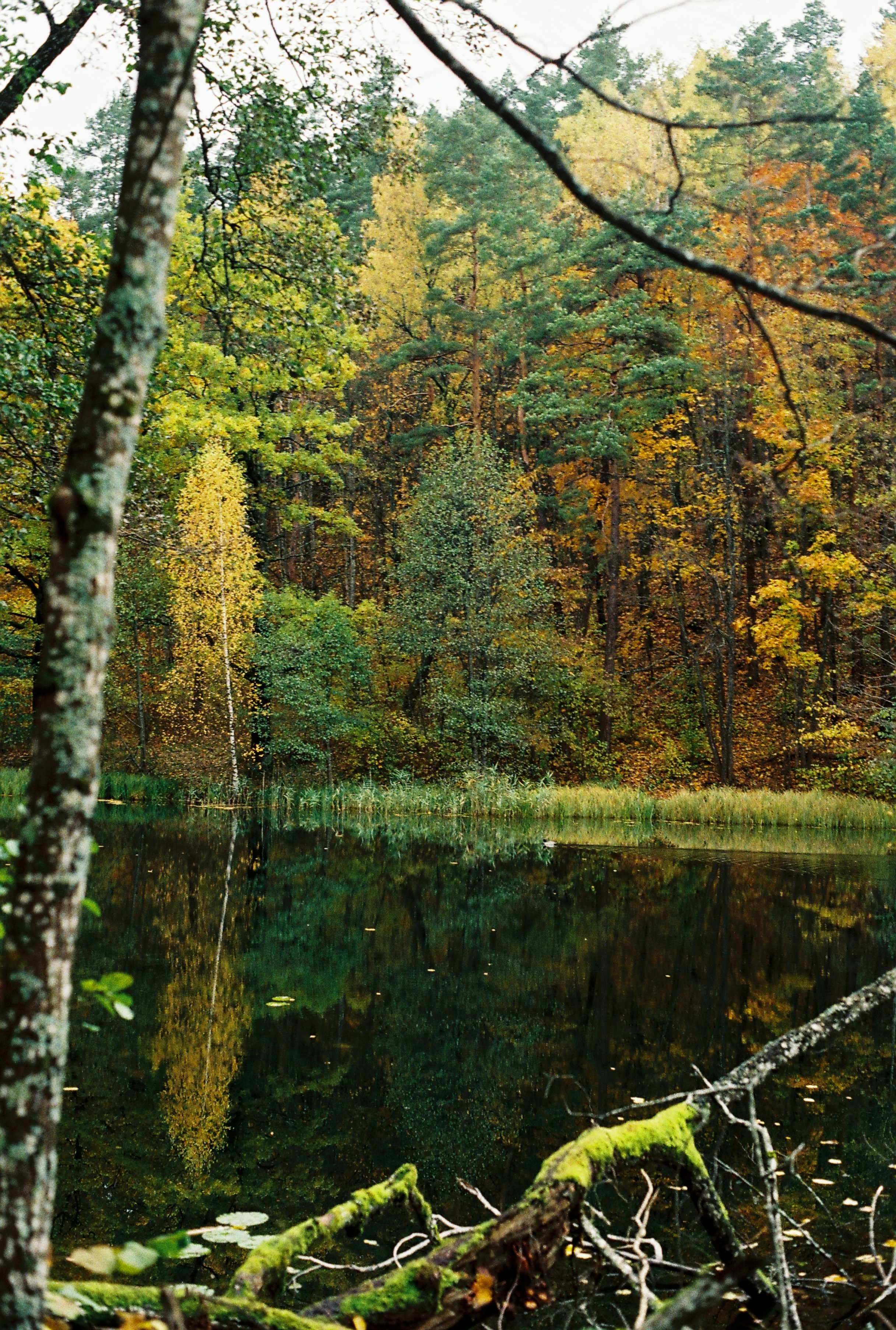 Photo by nadzeya1104