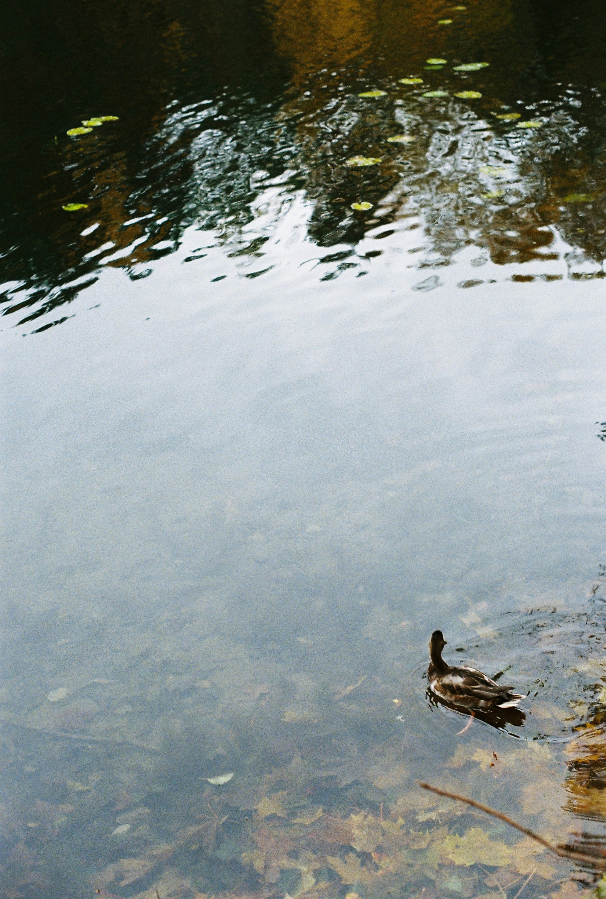 Photo by nadzeya1104