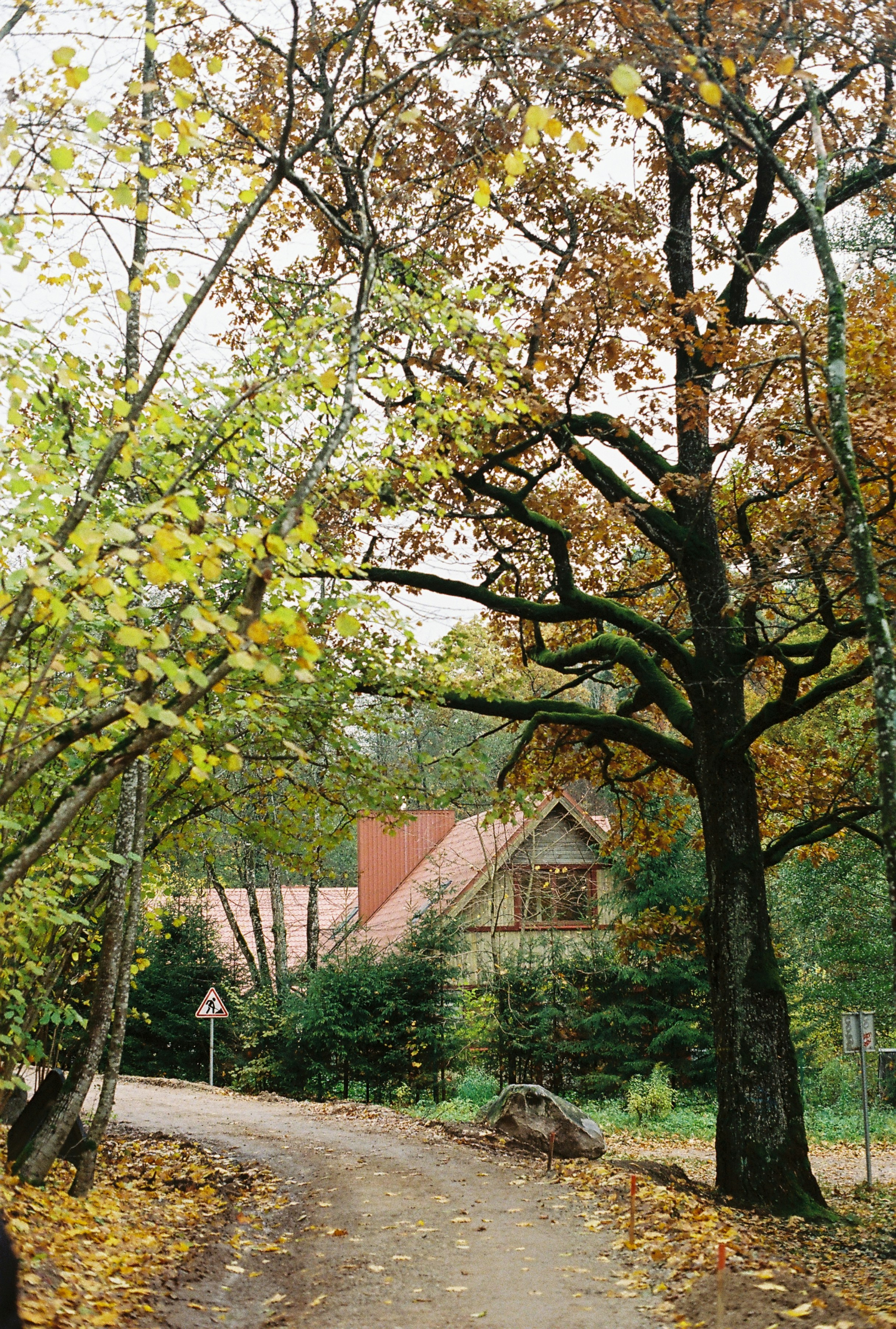 Photo by nadzeya1104