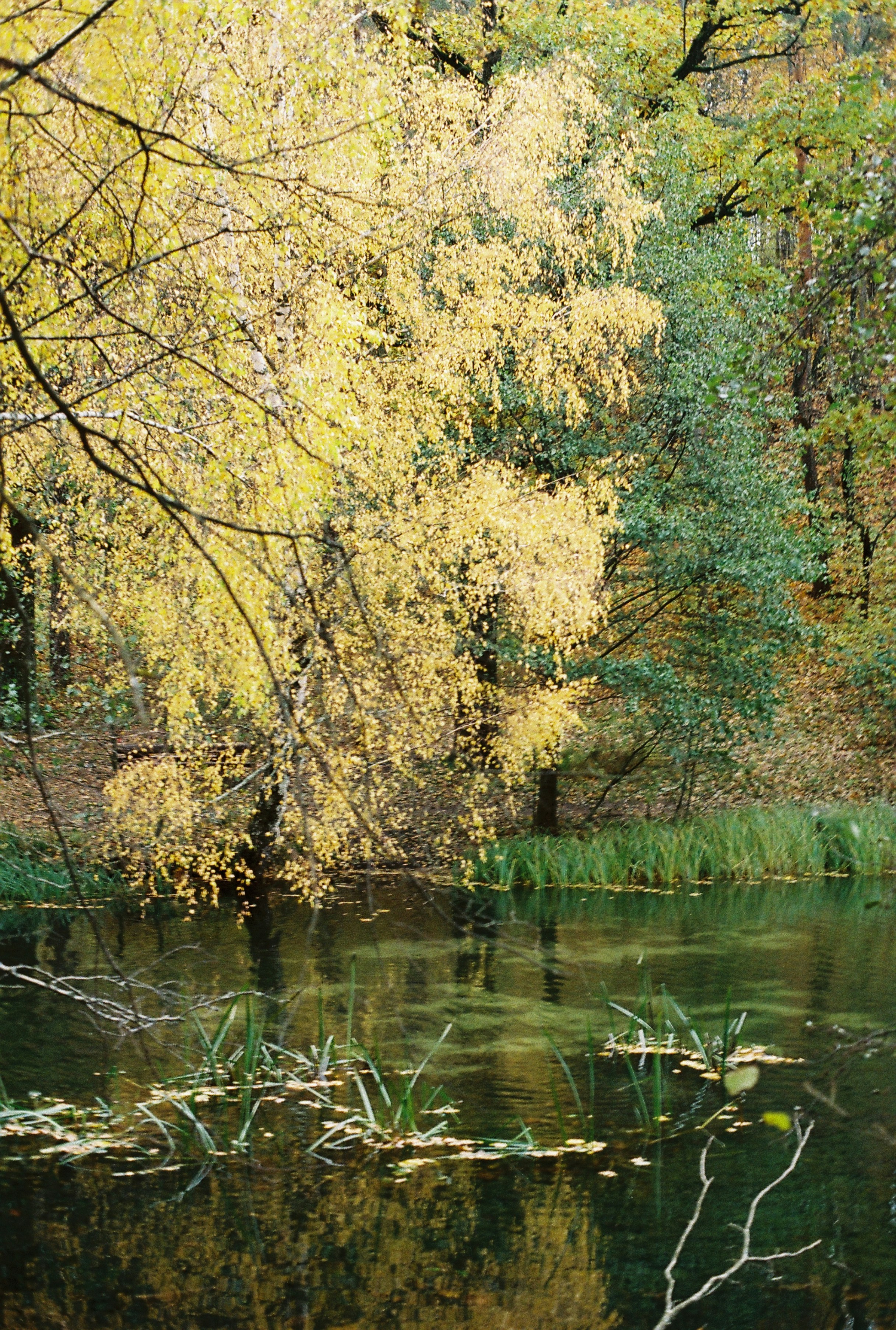 Photo by nadzeya1104