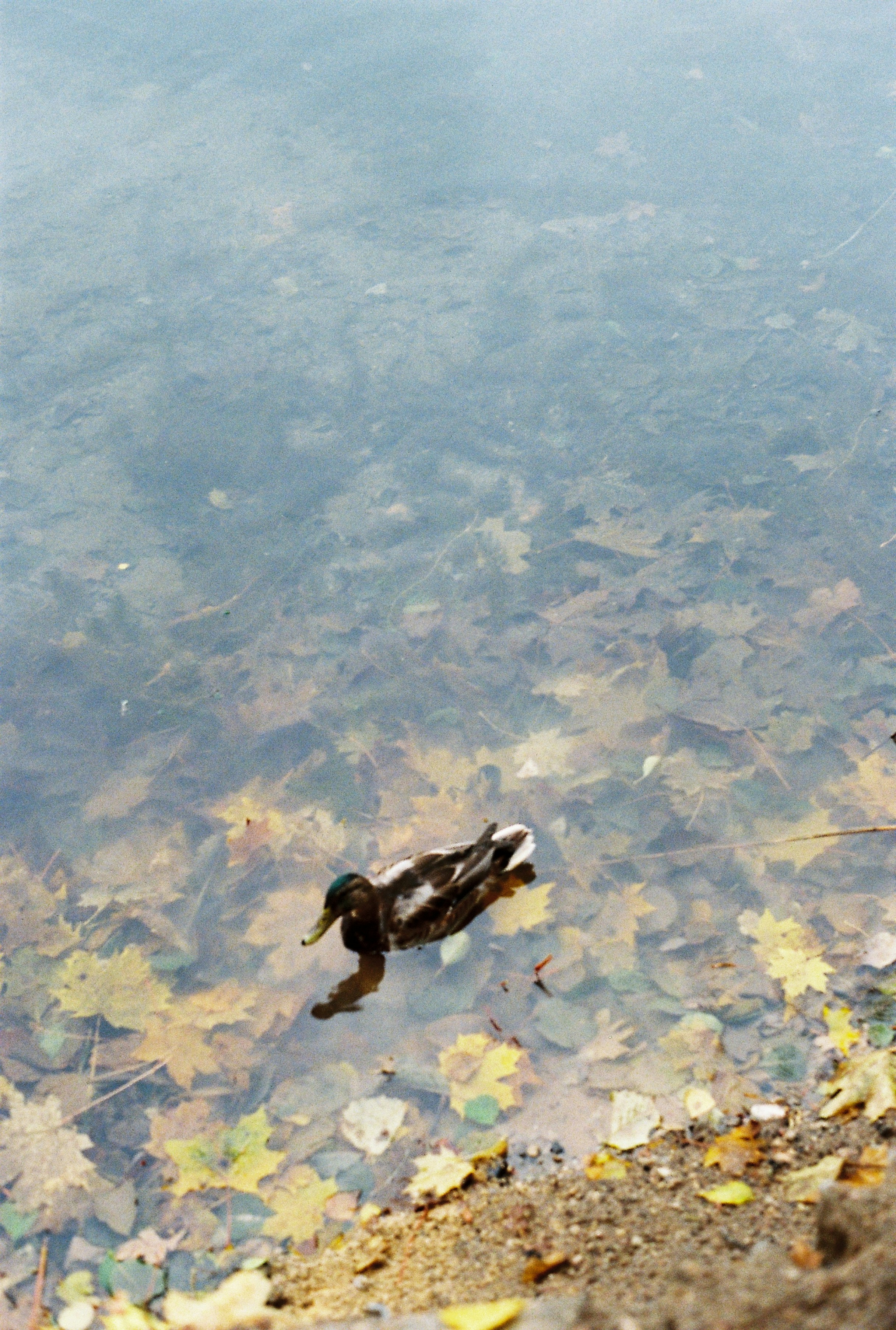 Photo by nadzeya1104