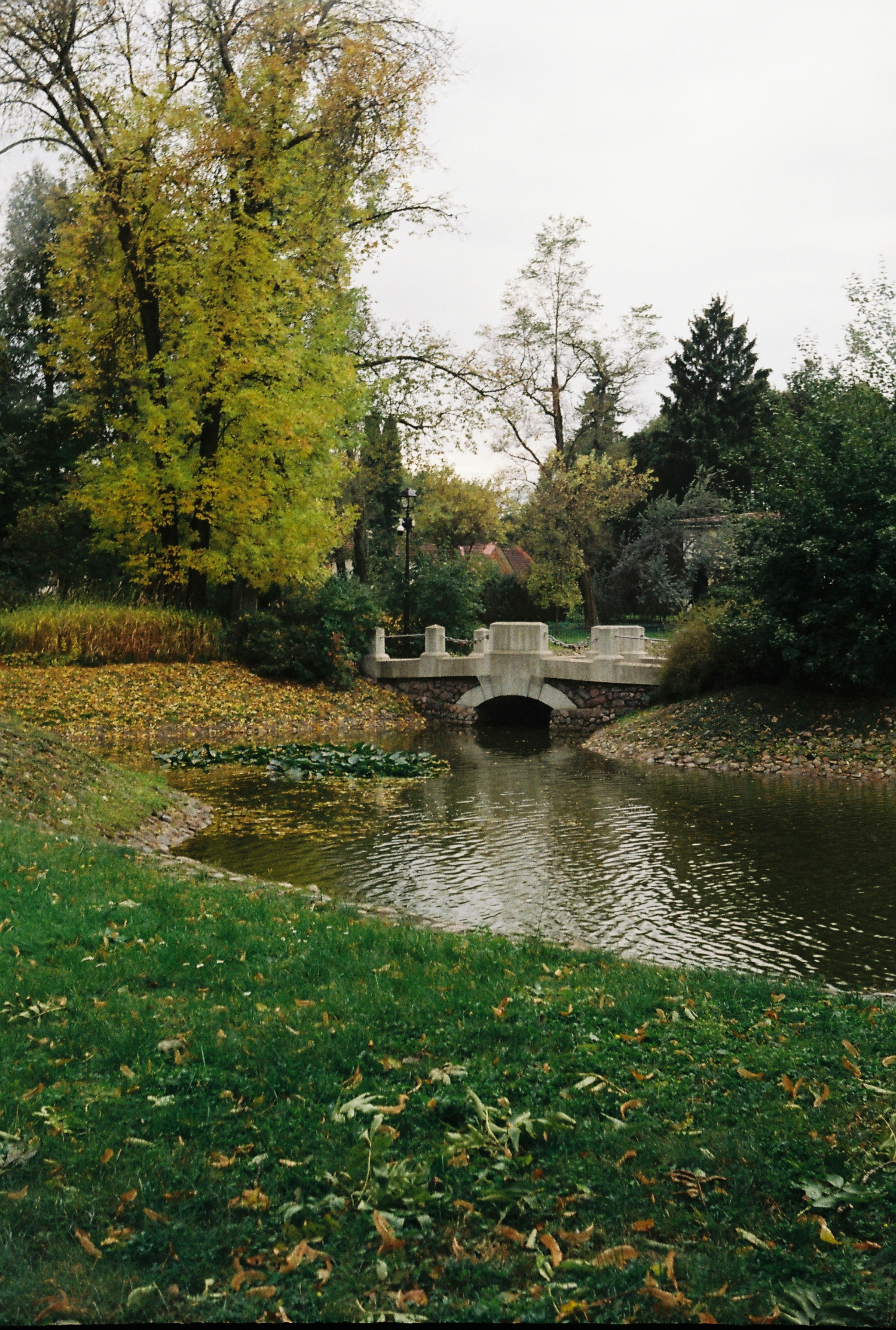 Photo by nadzeya1104