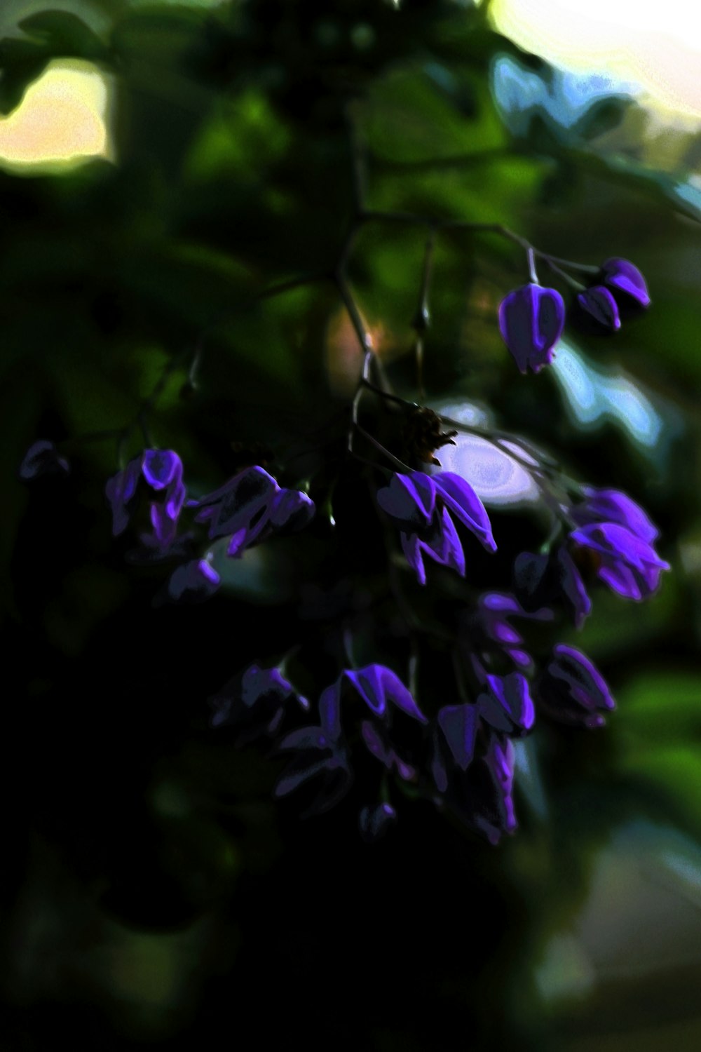 a bunch of purple flowers hanging from a tree