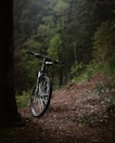 A mountain bike is resting against a tree on a dirt path surrounded by dense, lush green forest. The scene conveys a sense of solitude and connection with nature, with the bike positioned as if ready for an adventurous ride through the serene and tranquil woods.