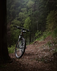 A mountain bike is resting against a tree on a dirt path surrounded by dense, lush green forest. The scene conveys a sense of solitude and connection with nature, with the bike positioned as if ready for an adventurous ride through the serene and tranquil woods.