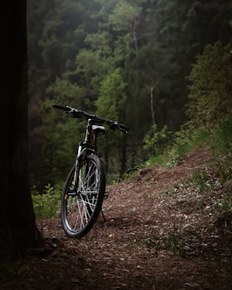 A scenic off-road trail with a mountain bike resting on a dirt path.