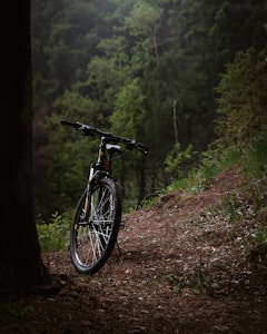 Trailblazer MTB