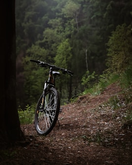 A mountain bike is resting against a tree on a dirt path surrounded by dense, lush green forest. The scene conveys a sense of solitude and connection with nature, with the bike positioned as if ready for an adventurous ride through the serene and tranquil woods.