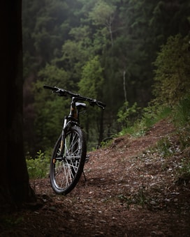 A mountain bike is resting against a tree on a dirt path surrounded by dense, lush green forest. The scene conveys a sense of solitude and connection with nature, with the bike positioned as if ready for an adventurous ride through the serene and tranquil woods.