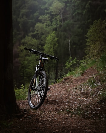 A mountain bike is resting against a tree on a dirt path surrounded by dense, lush green forest. The scene conveys a sense of solitude and connection with nature, with the bike positioned as if ready for an adventurous ride through the serene and tranquil woods.