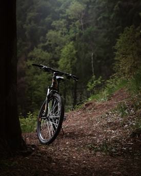 A mountain bike is resting against a tree on a dirt path surrounded by dense, lush green forest. The scene conveys a sense of solitude and connection with nature, with the bike positioned as if ready for an adventurous ride through the serene and tranquil woods.