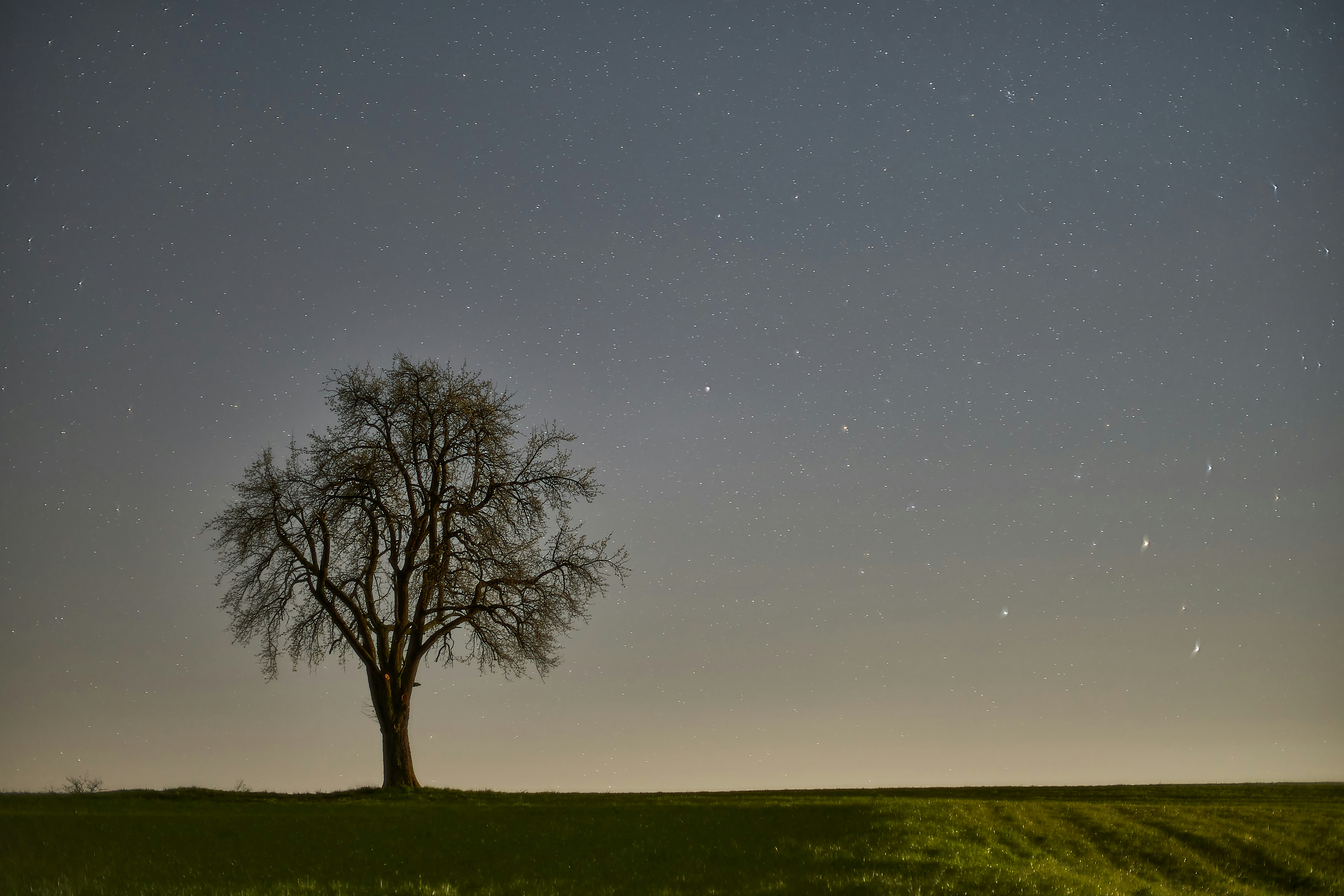 Photo by wolfgang_hasselmann