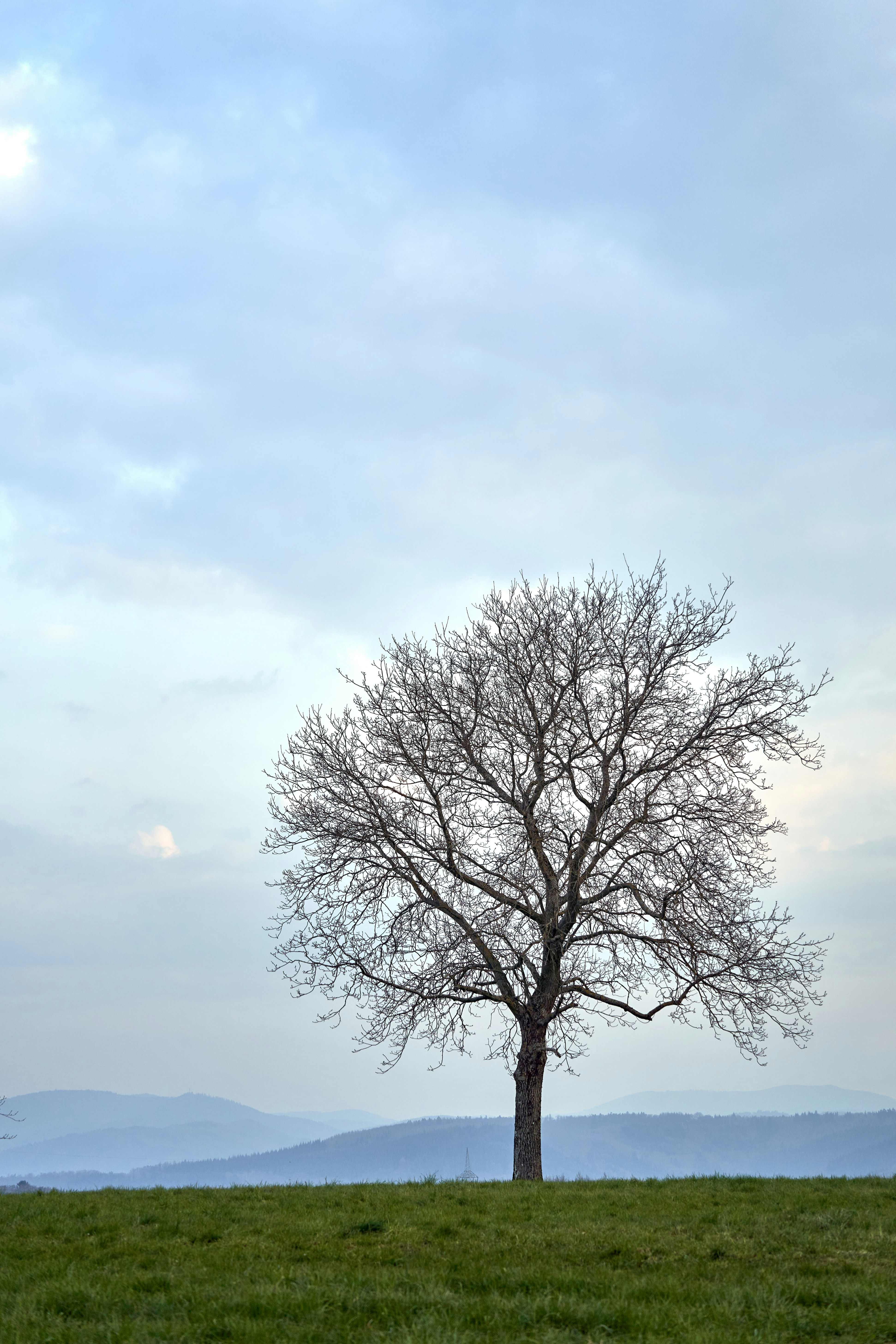 Photo by wolfgang_hasselmann