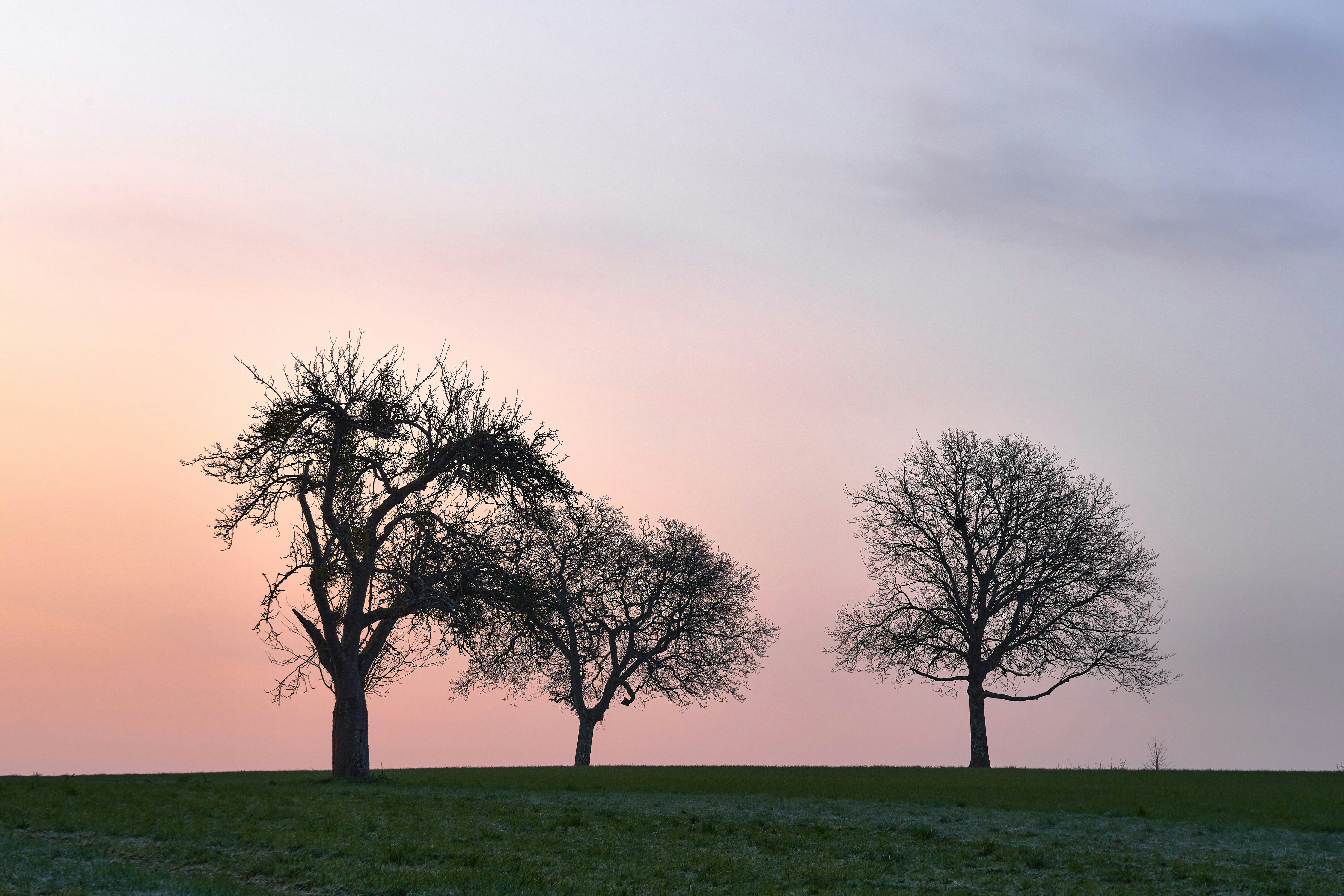 Photo by wolfgang_hasselmann