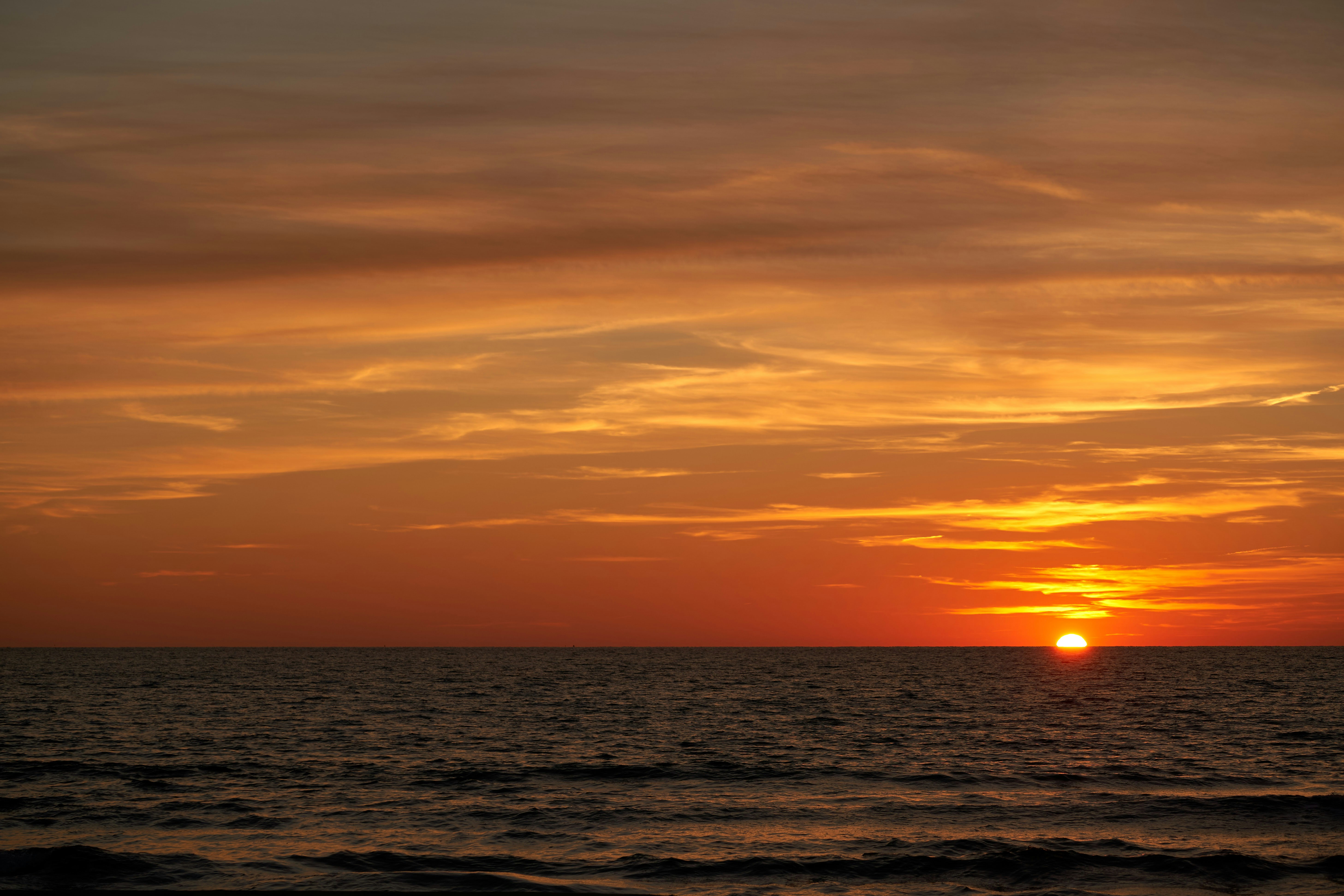 Photo by wolfgang_hasselmann