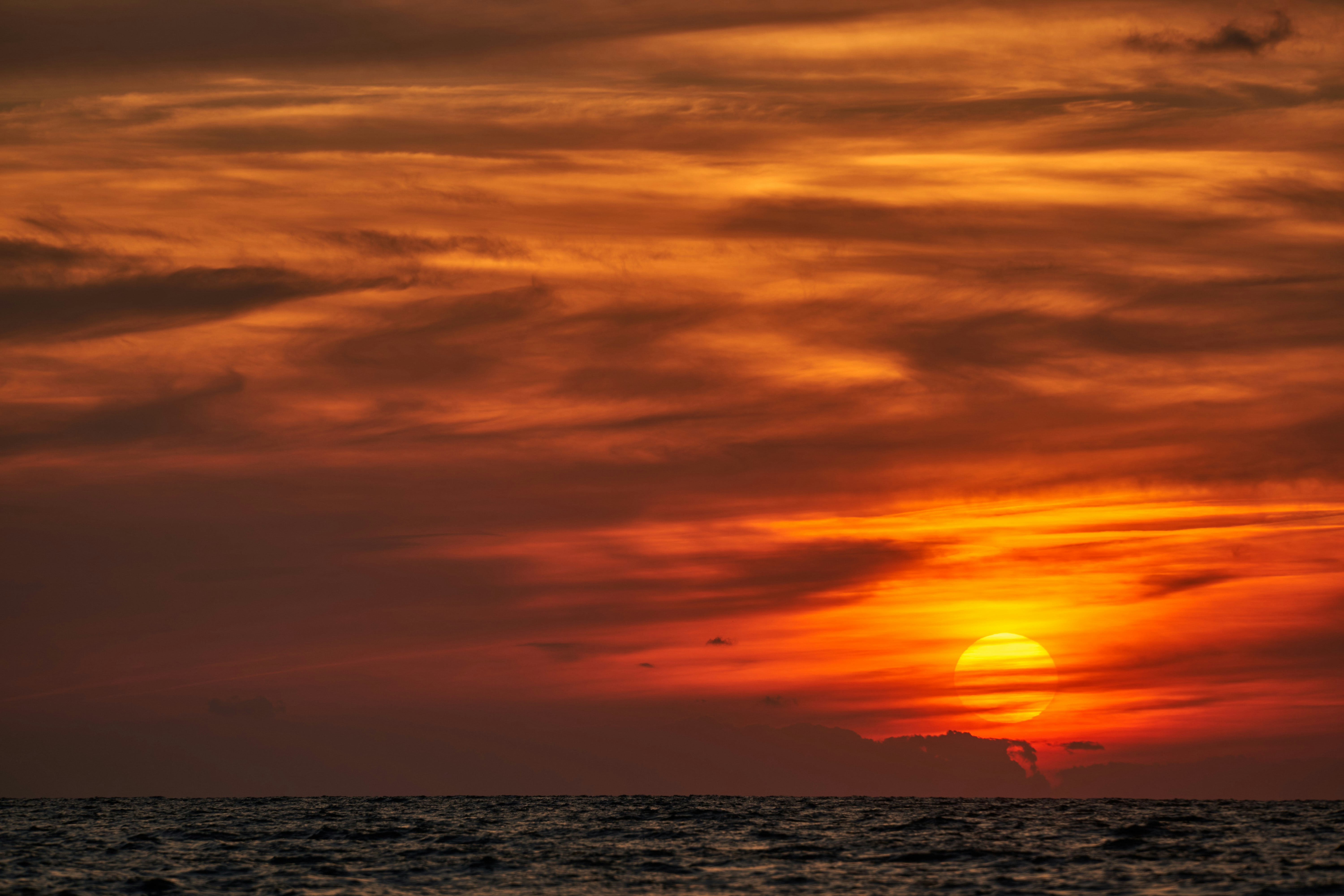 Photo by wolfgang_hasselmann