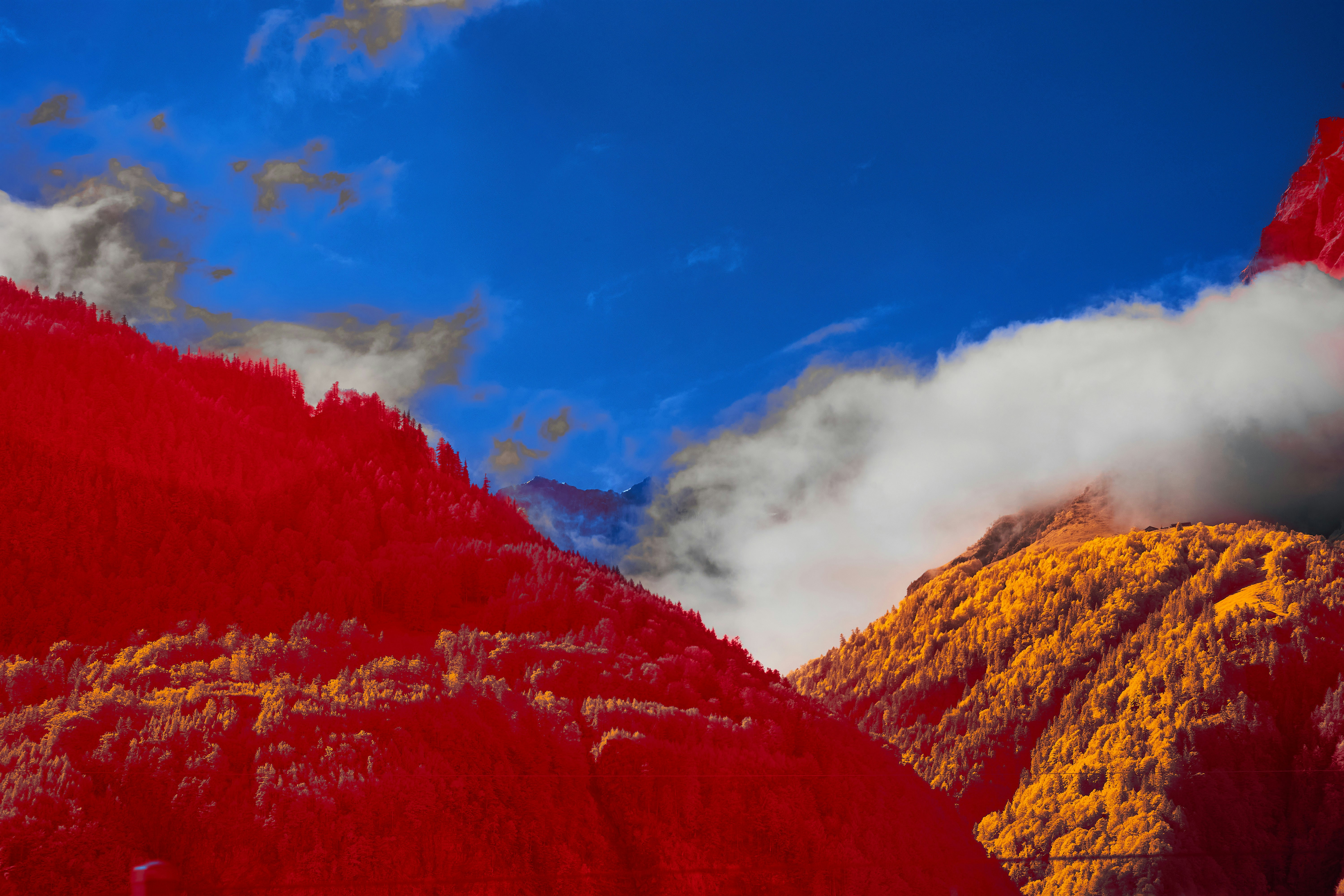 Photo by wolfgang_hasselmann