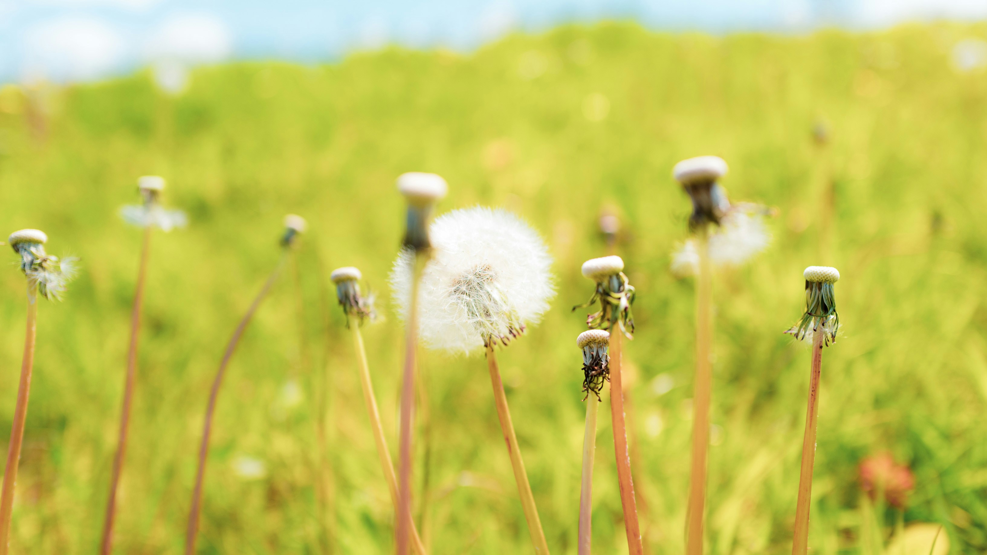 Photo by benjamin_photography