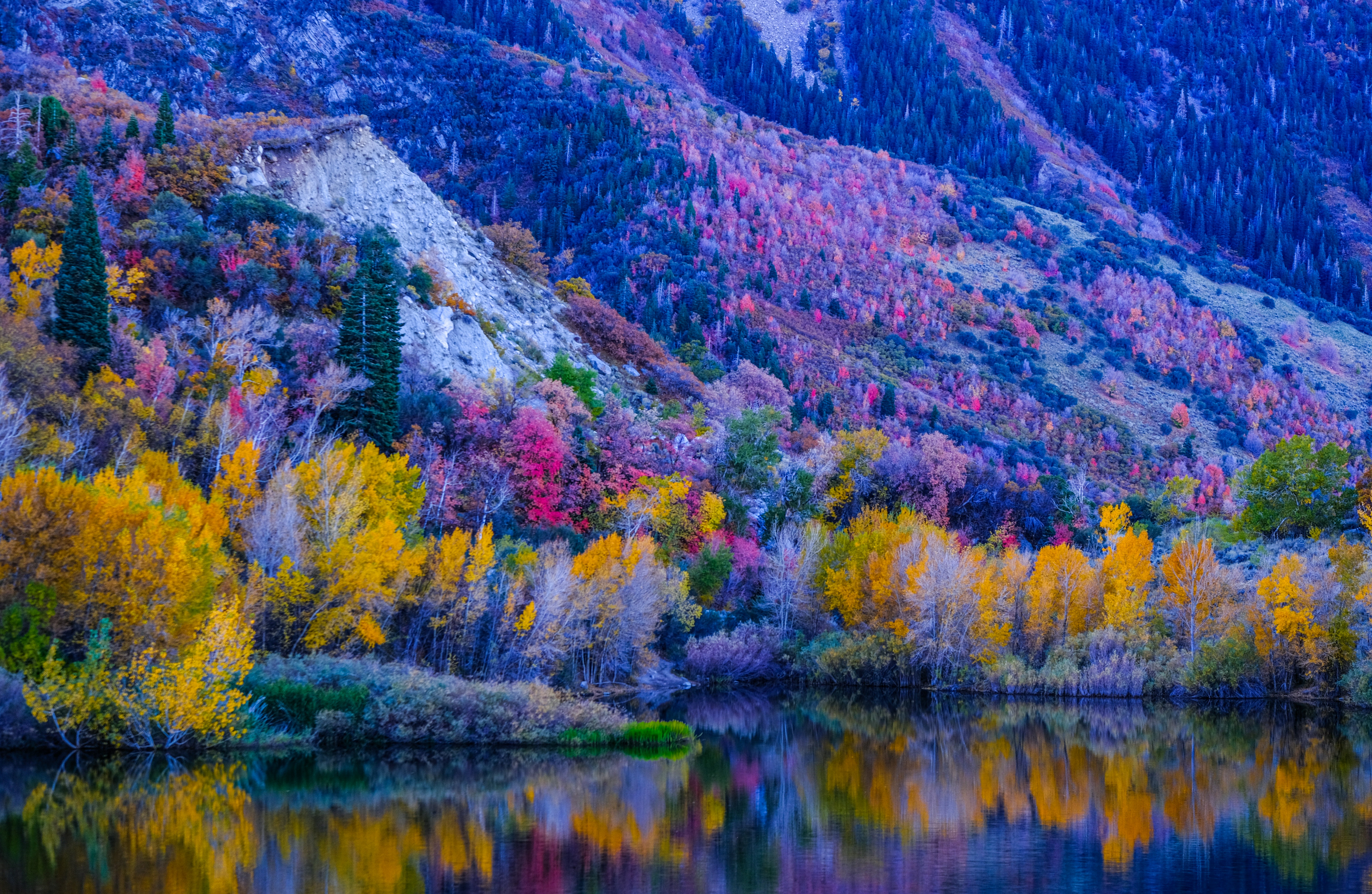 Photo by cestmoisheedy