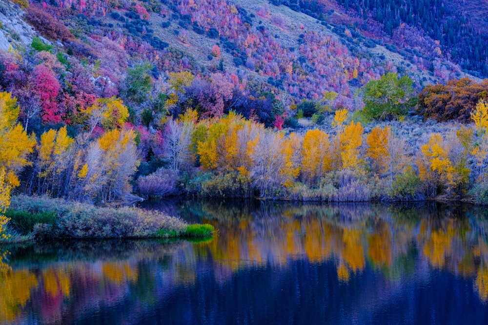 a lake surrounded by colorful trees with a mountain in the background