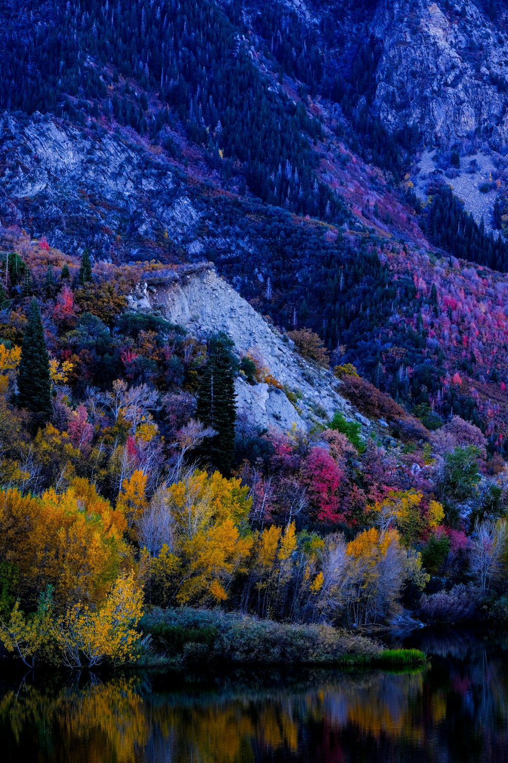 a mountain with a lake surrounded by trees