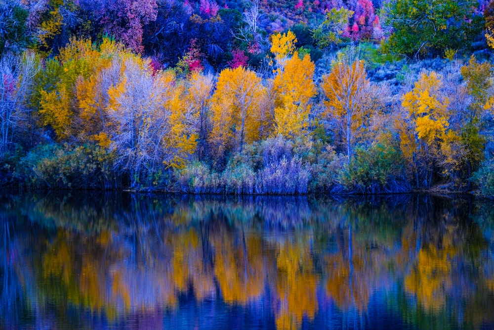 a body of water surrounded by colorful trees