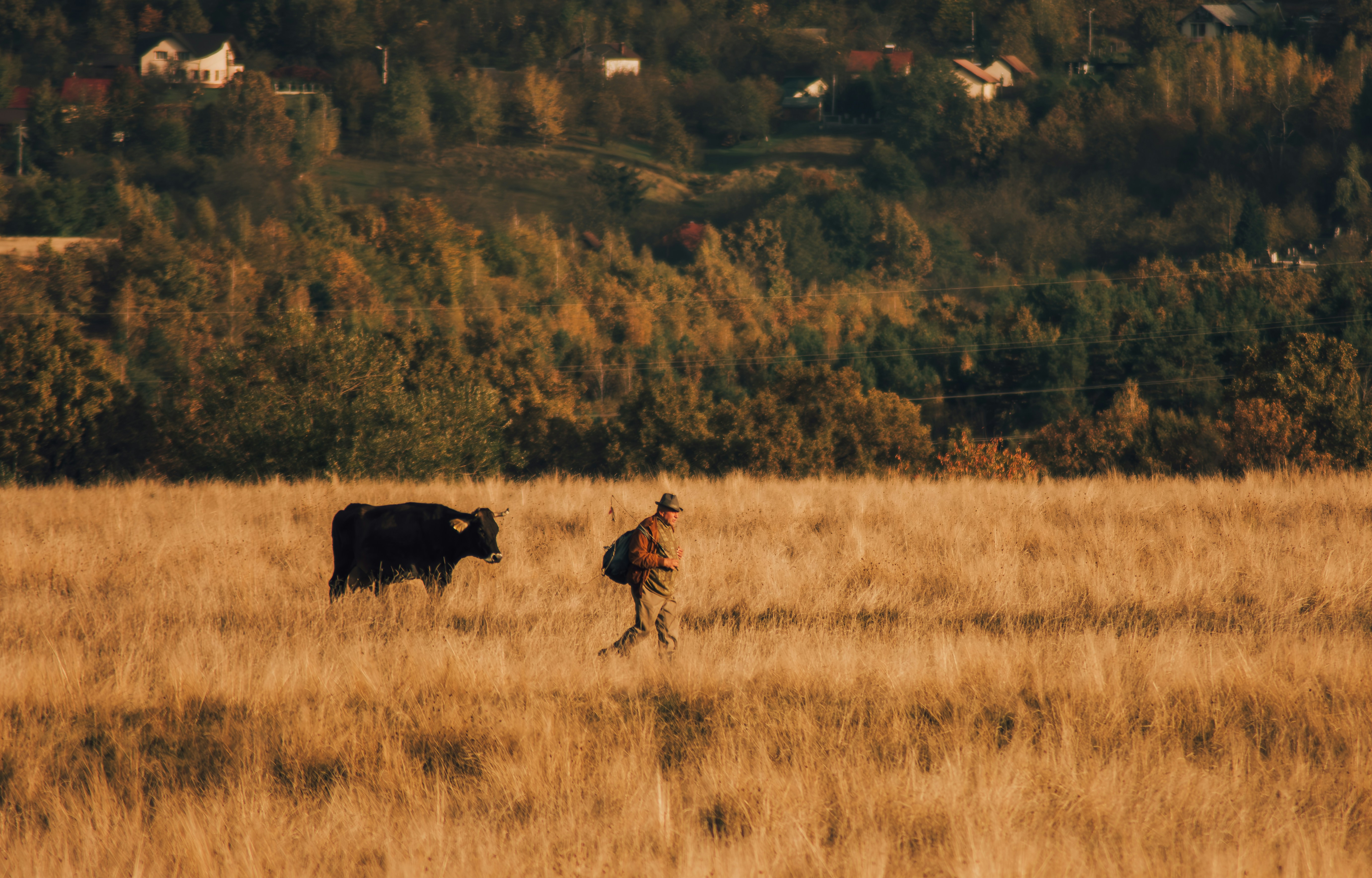 Photo by razvanorosz