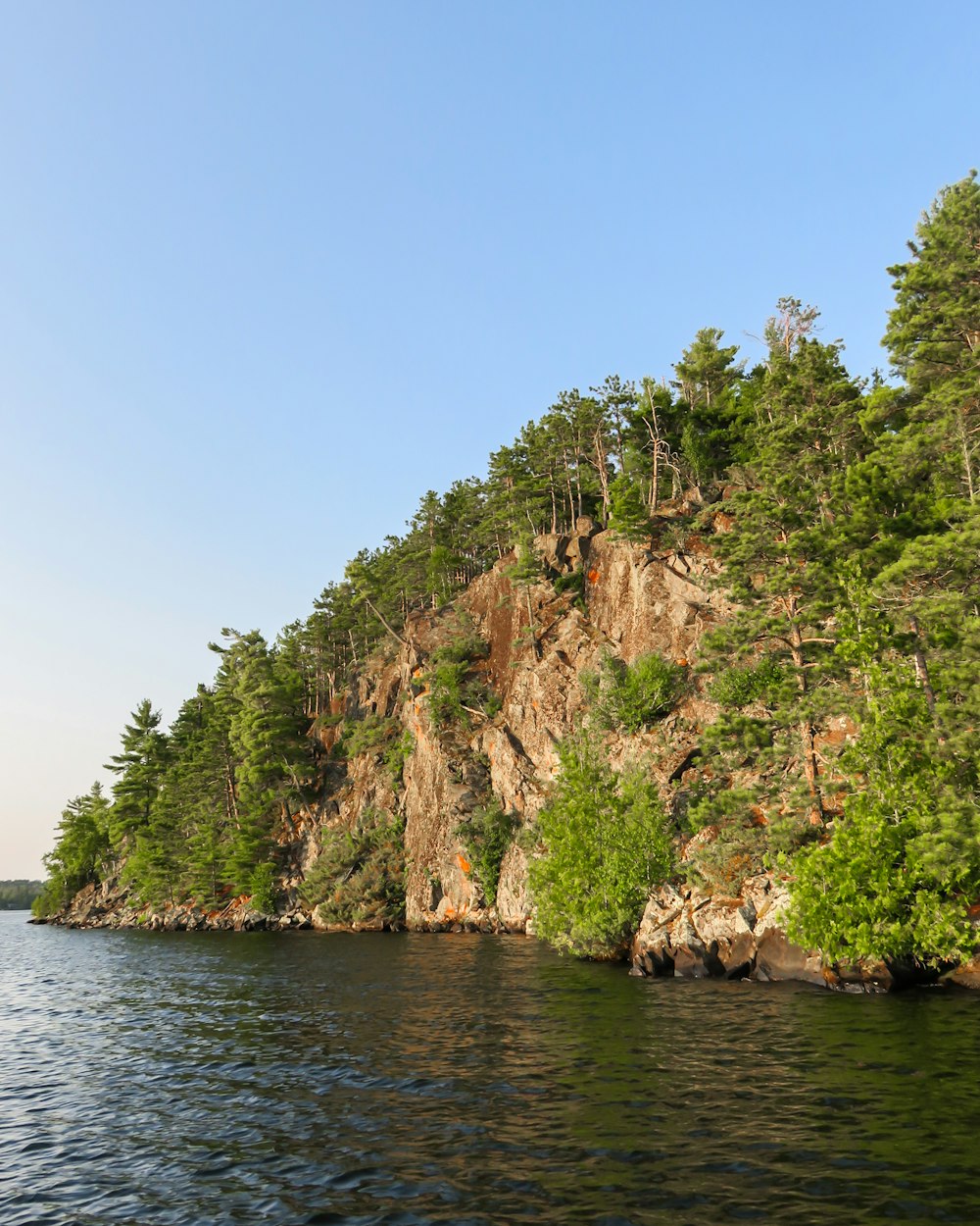 a large body of water surrounded by trees