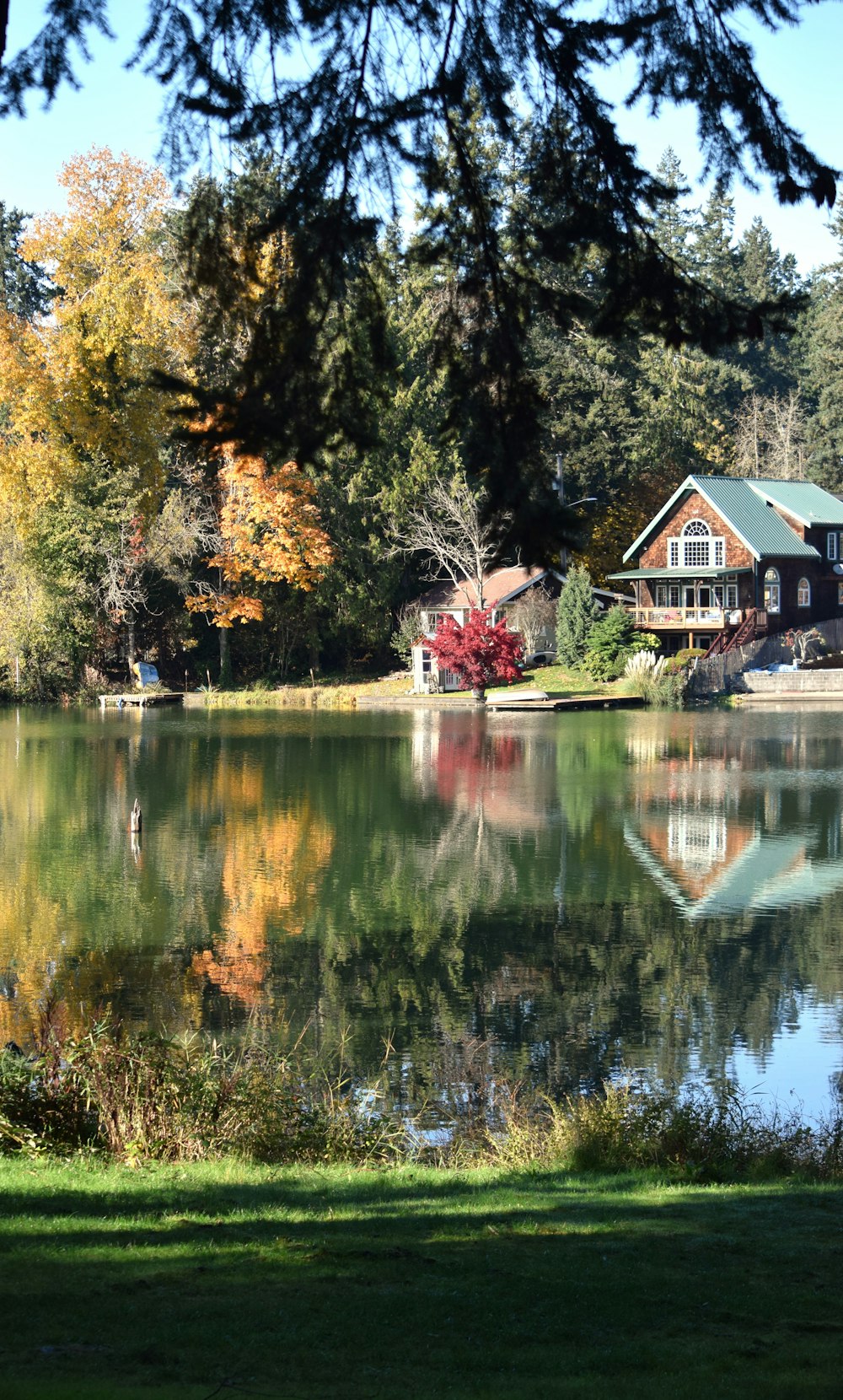 a lake surrounded by trees with a house in the background