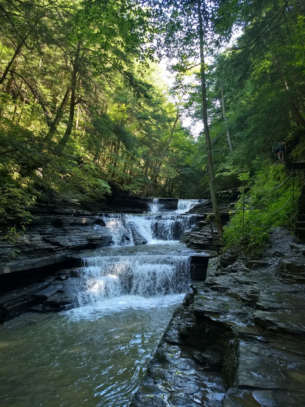 a small waterfall in the middle of a forest