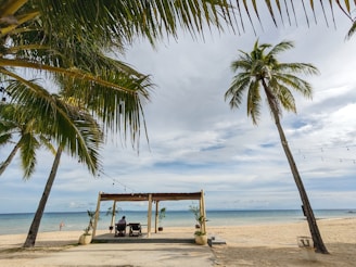 A serene beachfront setting with palm trees framing a sandy area and a wooden pergola. Under the pergola, two lounge chairs face the ocean, where the sky meets the sea, creating a peaceful atmosphere. The beach stretches out with a lone person walking by the water. String lights hang between the palm trees, adding to the tranquil vibe.