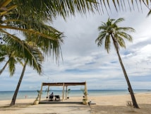 A serene beachfront setting with palm trees framing a sandy area and a wooden pergola. Under the pergola, two lounge chairs face the ocean, where the sky meets the sea, creating a peaceful atmosphere. The beach stretches out with a lone person walking by the water. String lights hang between the palm trees, adding to the tranquil vibe.