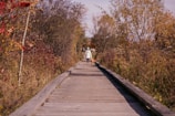 Carol walking her dog along a tree-lined city street in autumn