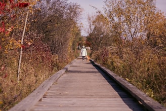 A person is walking a dog along a wooden boardwalk surrounded by autumn foliage. The trees and bushes are covered with leaves in shades of orange, yellow, and red, indicating a fall setting. The pathway stretches into the distance, creating a sense of depth.
