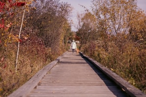Carol walking her dog along a tree-lined city street in autumn